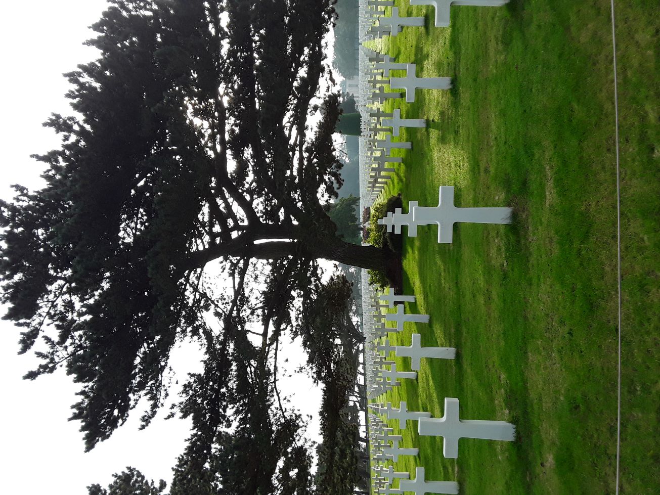 lussac2